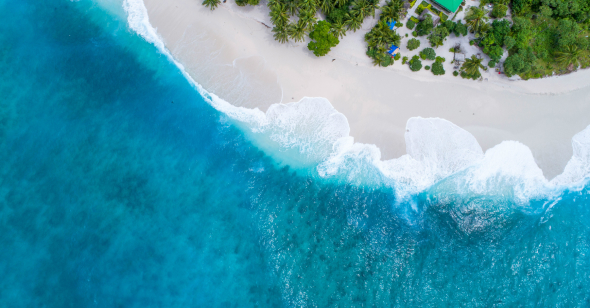 Services-01 Services 01